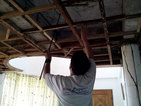 Rosary Pest Control Services